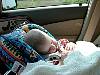 pics2113.jpg