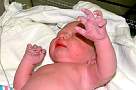 baby012.jpg